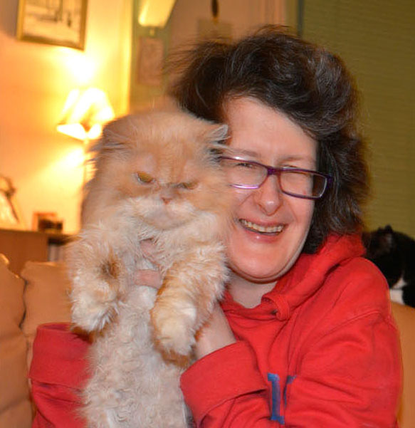 Klik op de foto om de film te starten